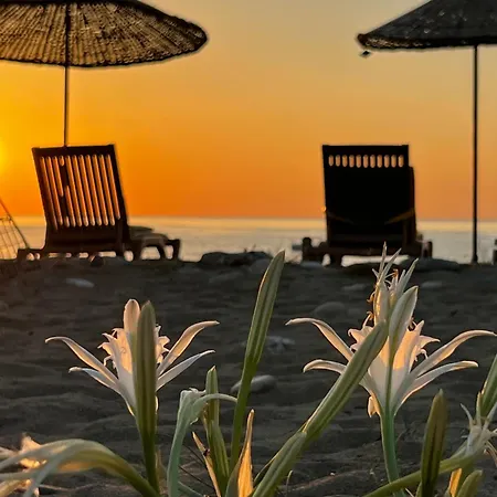 Vakantiepark Myland Nature Çıralı