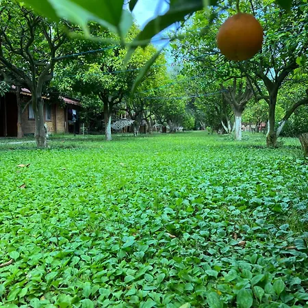 Myland Nature Holiday park 2*