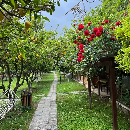 Myland Nature 2* Cirali