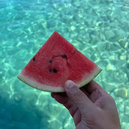 홀리데이파크 마이랜드 네이처