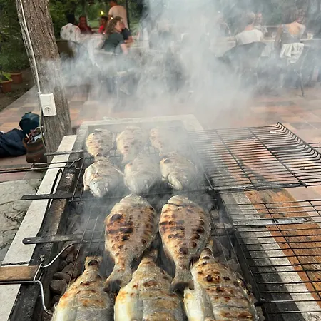 마이랜드 네이처 Çıralı